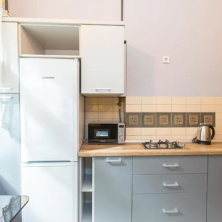 центр на вулиці проспект шевченка 12 навпроти макдональса з балконом Apartment